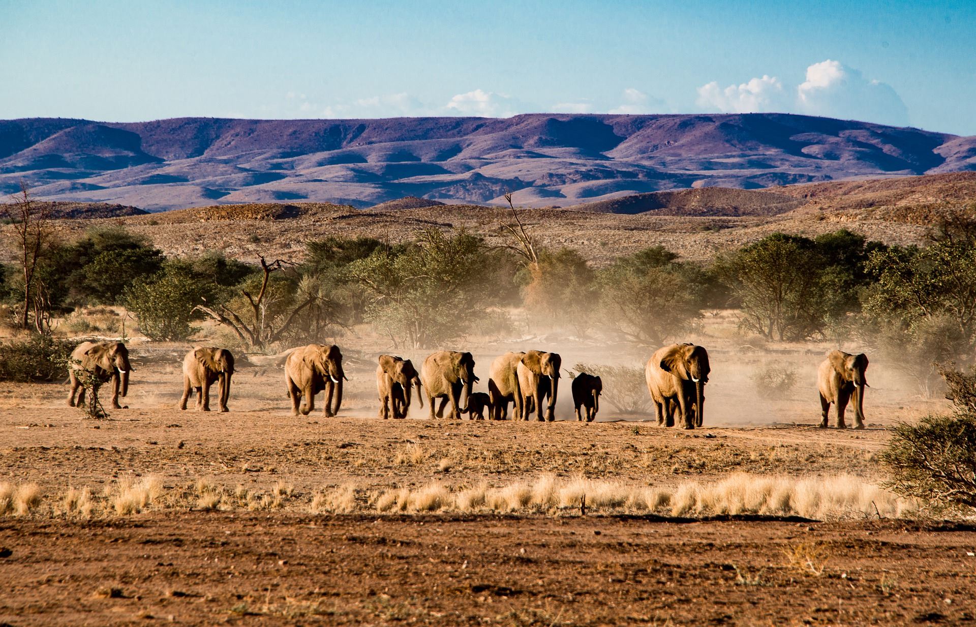 namibia safari mai