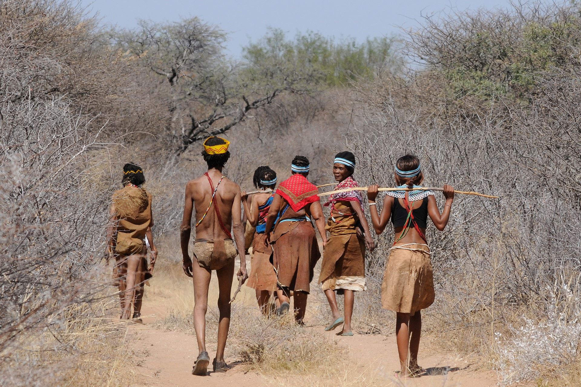 botswana delta popular with safari tourists