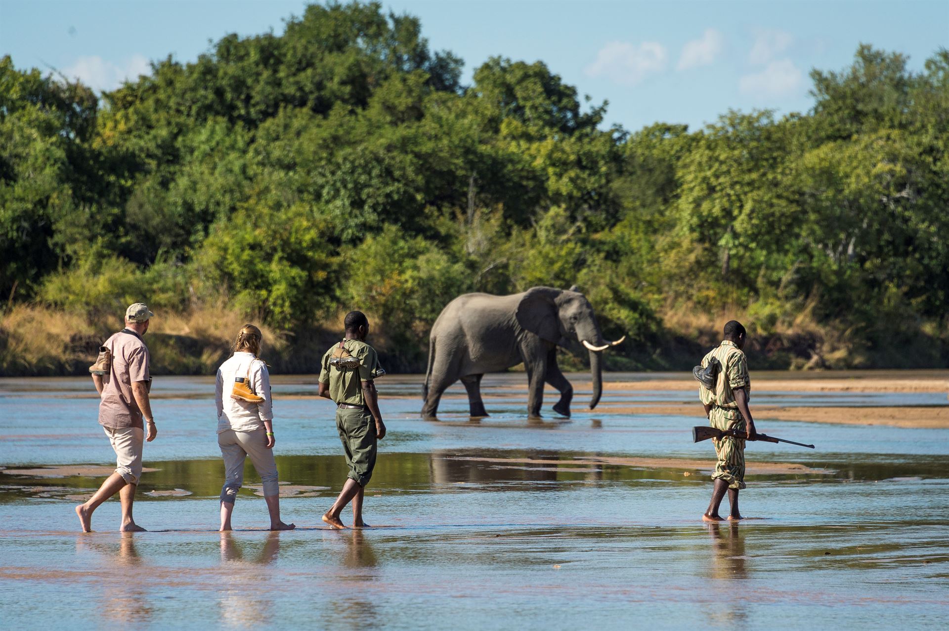 zambia safari