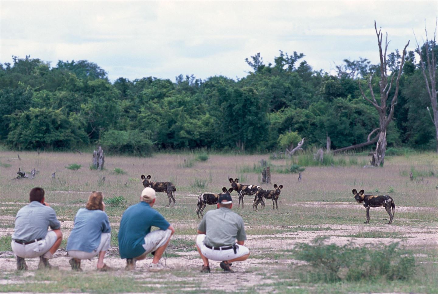 big safari greenville texas